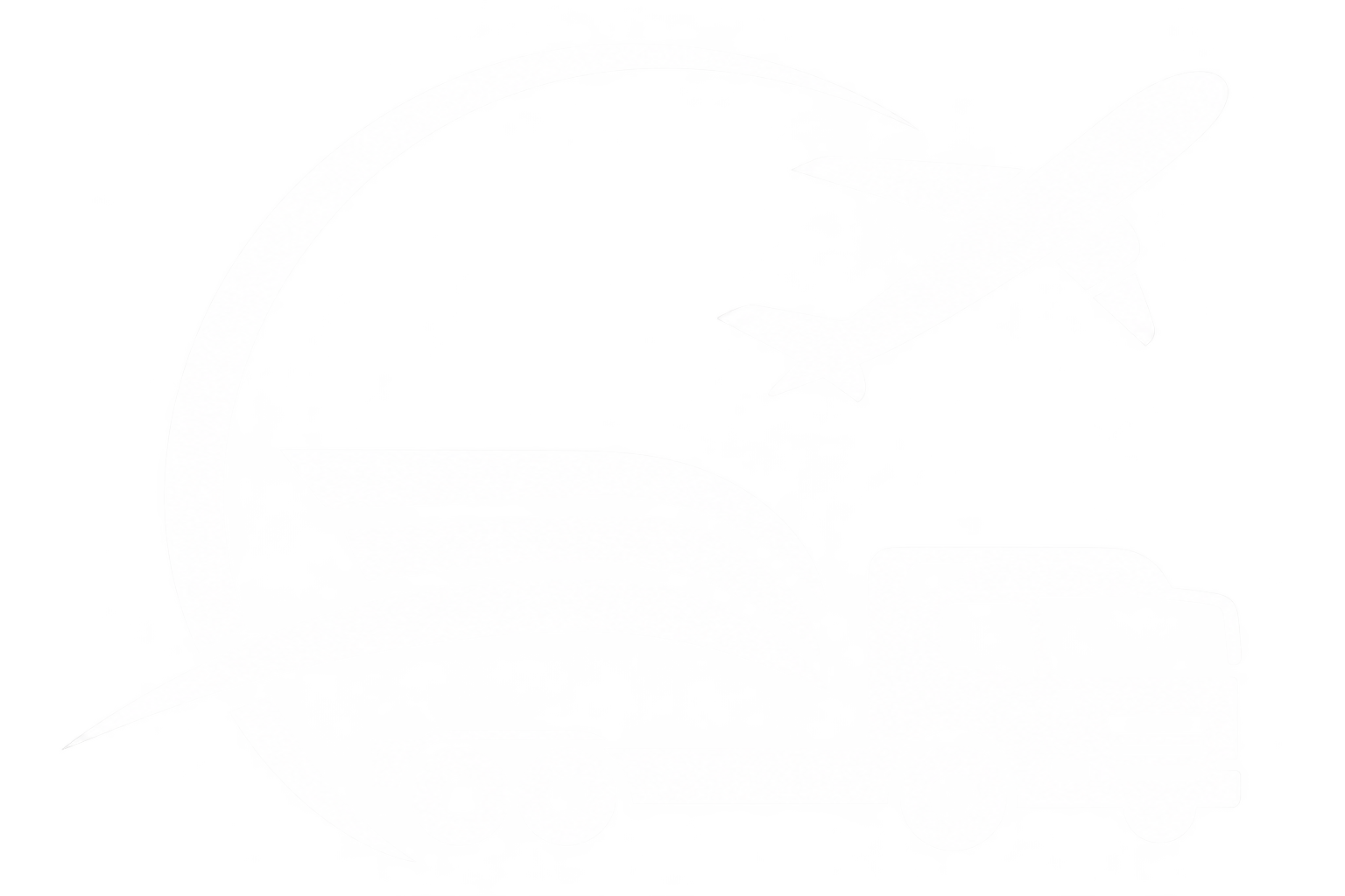 AREOMAX LOGISTICS